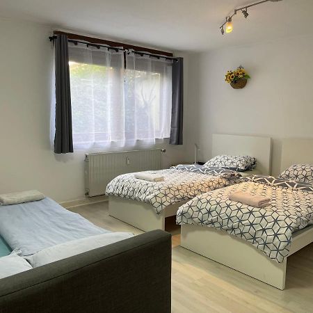 Duesseldorf Messe, 2-Bedroom Duplex Apartment With Terrace And Garden Zewnętrze zdjęcie